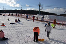 Nagano Ski tour 3 dys, winter version