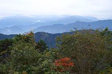 Mt Takao hikng tour