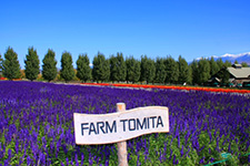 Tomita Farm